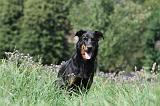 BEAUCERON 065